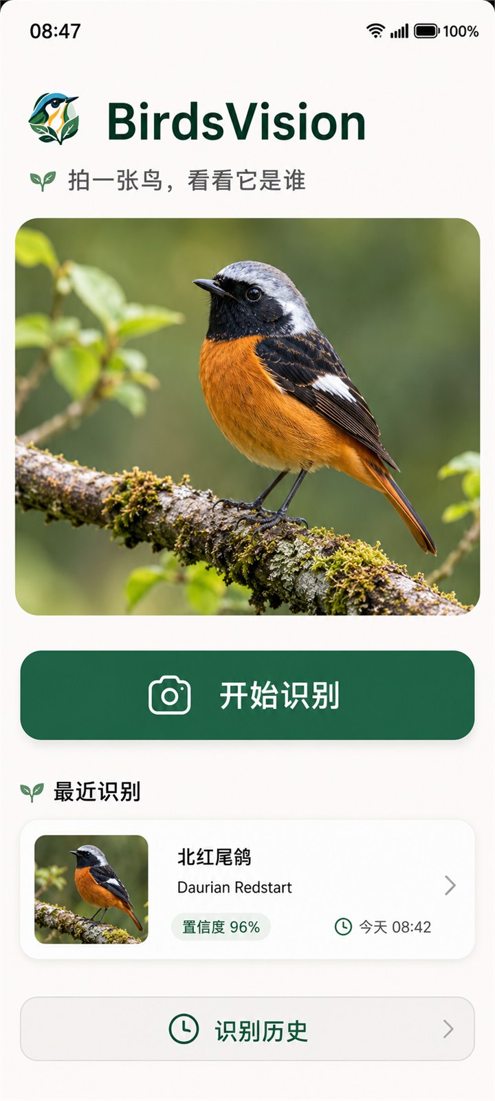 鸟视首页界面预览